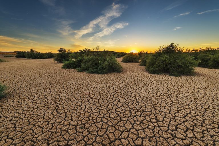 L’estate ai tempi del cambiamento climatico: tra scienza, salute e benessere